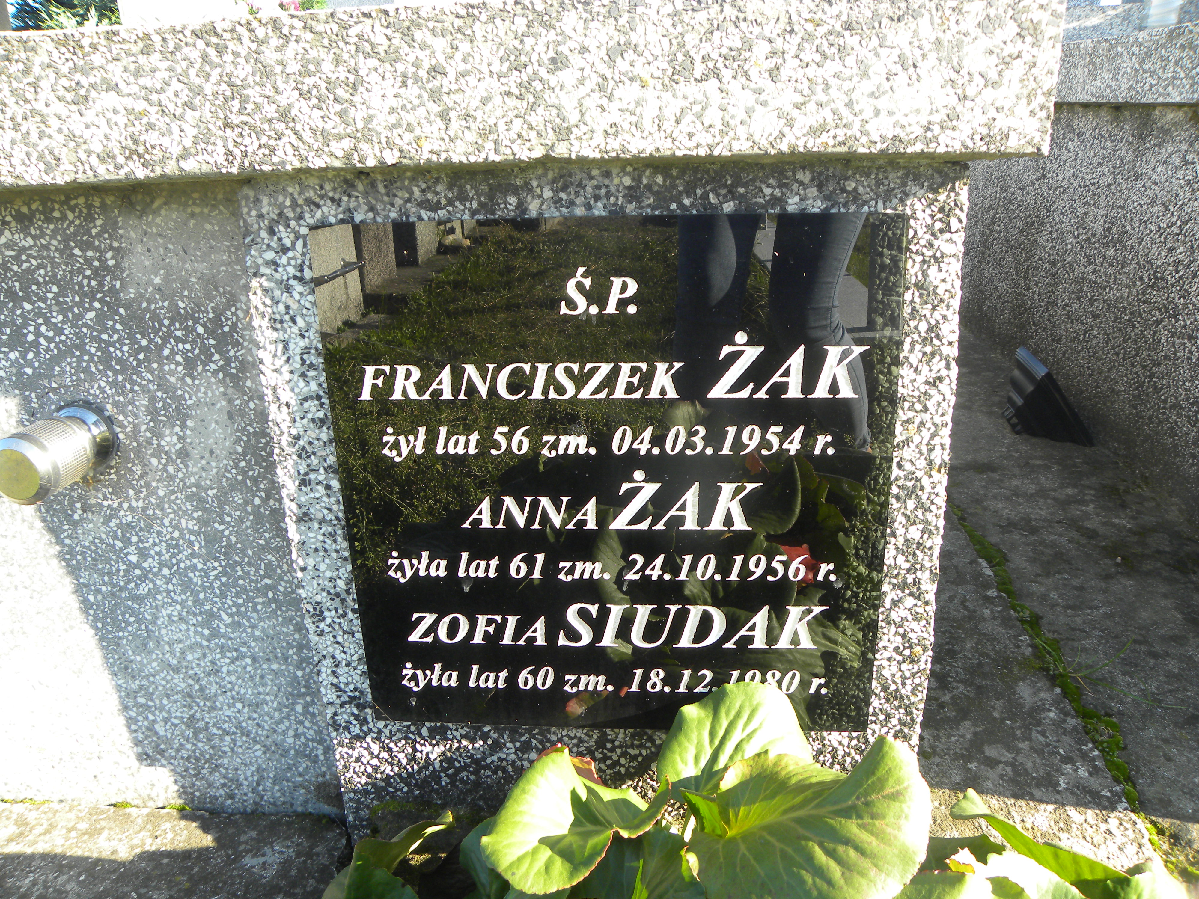 Zofia Żak Koprzywnica - Grobonet - Wyszukiwarka osób pochowanych