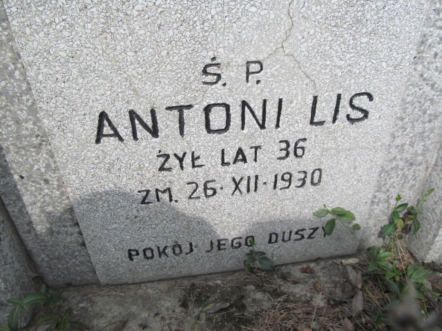Antoni Lis Koprzywnica - Grobonet - Wyszukiwarka osób pochowanych