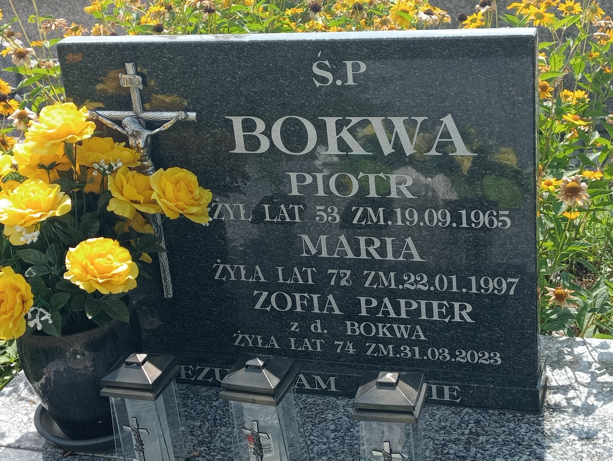 Piotr Bokwa Koprzywnica - Grobonet - Wyszukiwarka osób pochowanych