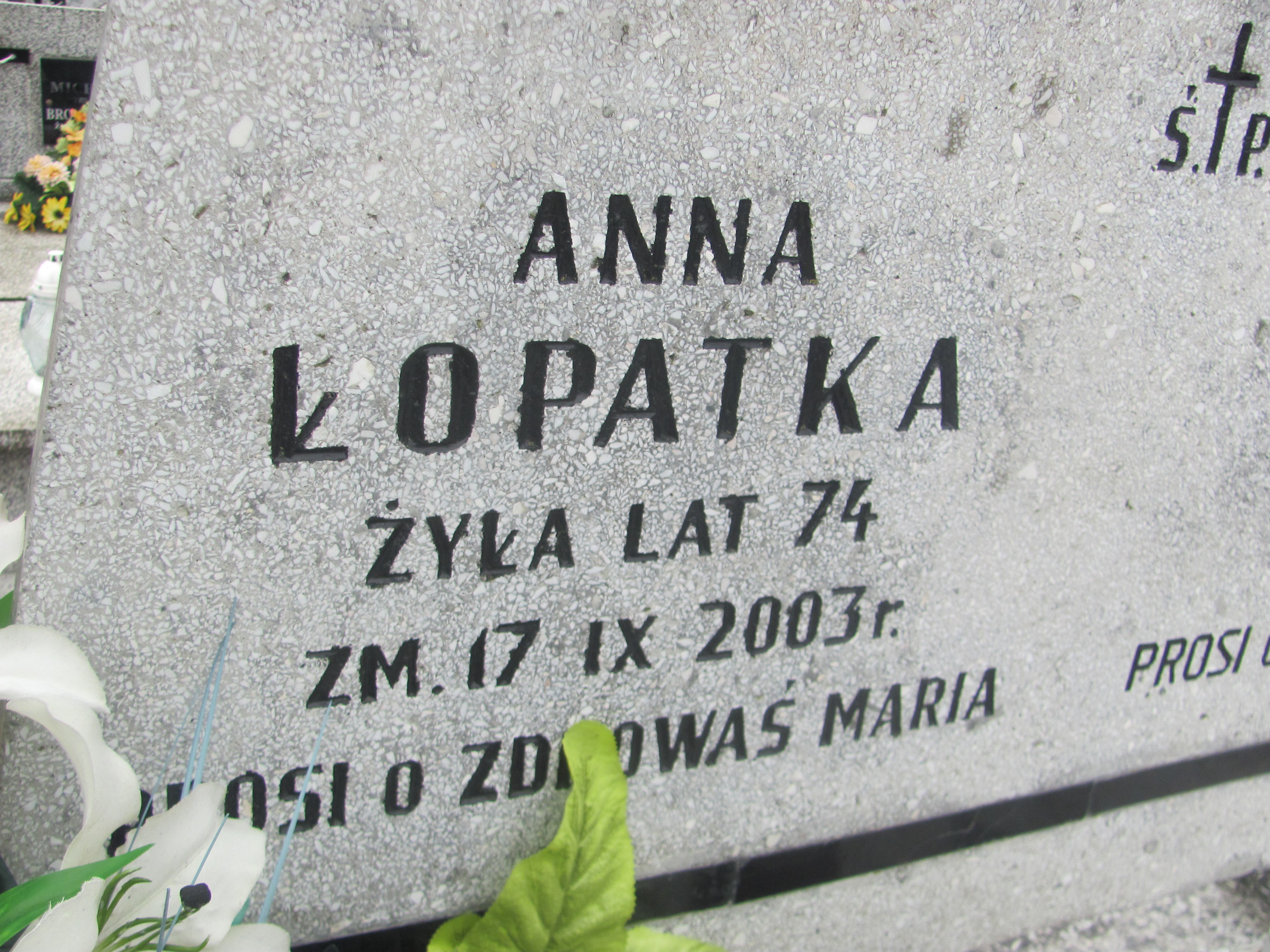 Anna Łopatka Koprzywnica - Grobonet - Wyszukiwarka osób pochowanych