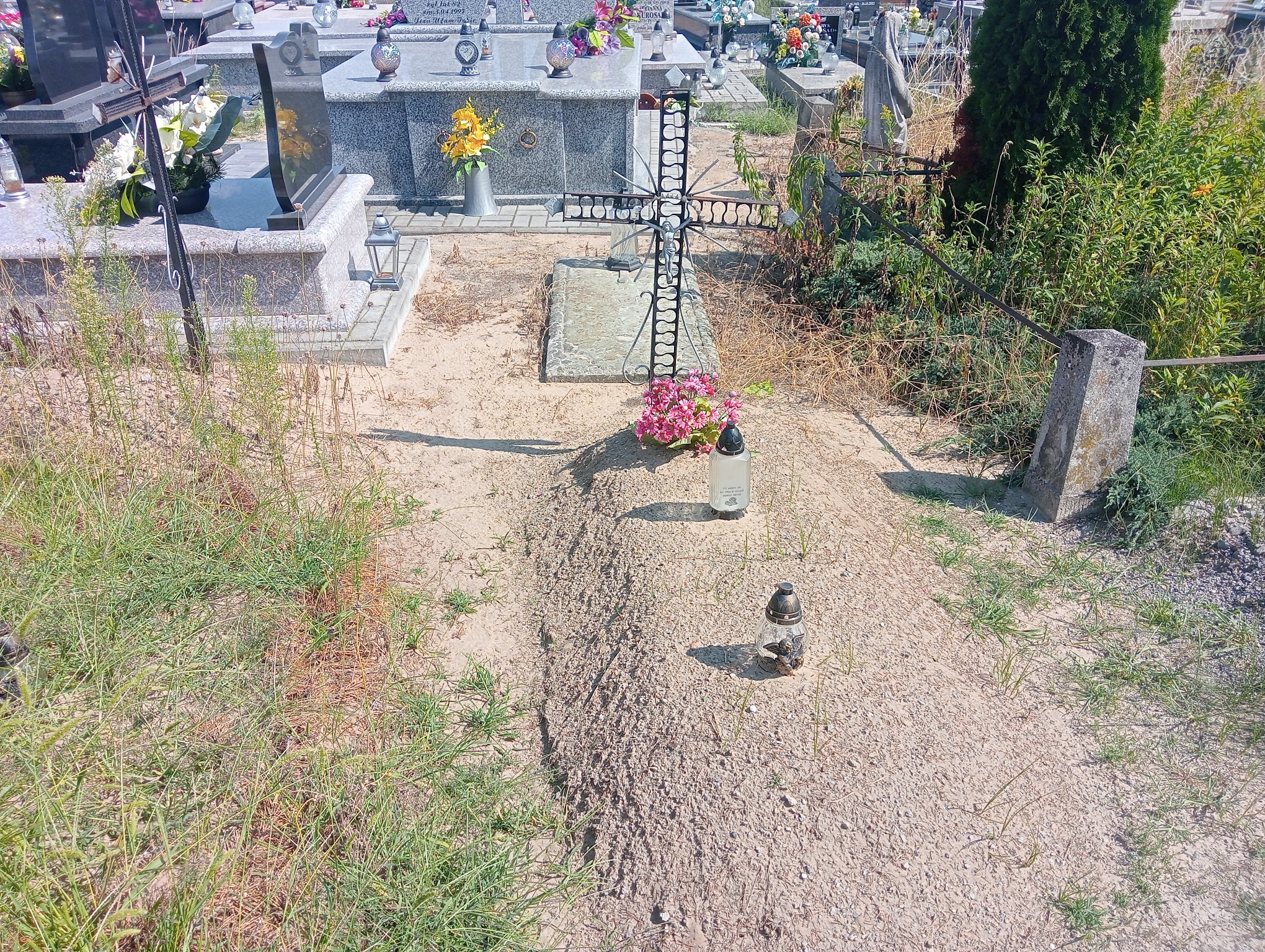  NN Koprzywnica - Grobonet - Wyszukiwarka osób pochowanych